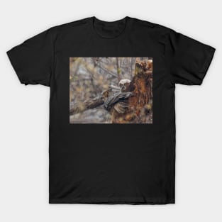 Great Horned Owl Watches For Danger With an Owlet At Its Nest T-Shirt